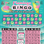 $3 Flamingo Bingo - 15358